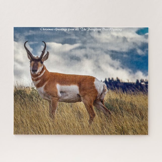 Pronghorn Deer Wyoming. Christmas Greetings Jigsaw Puzzle (Horizontal)