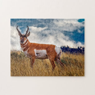 Pronghorn Deer Wyoming. Jigsaw Puzzle