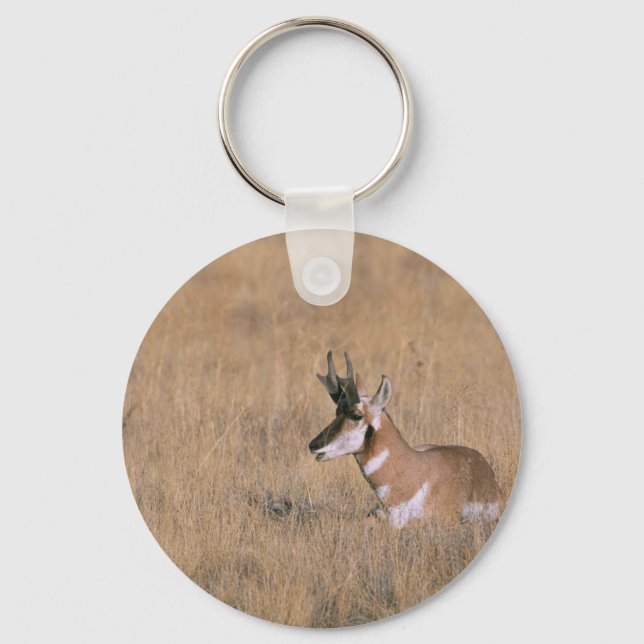 Pronghorn Key Ring (Front)