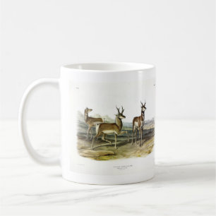 Pronghorn (Prong-horned Antelope) by Audubon Coffee Mug