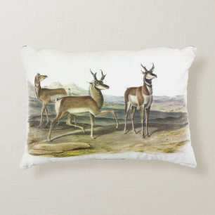 Pronghorn (Prong-horned Antelope) by Audubon Decorative Cushion