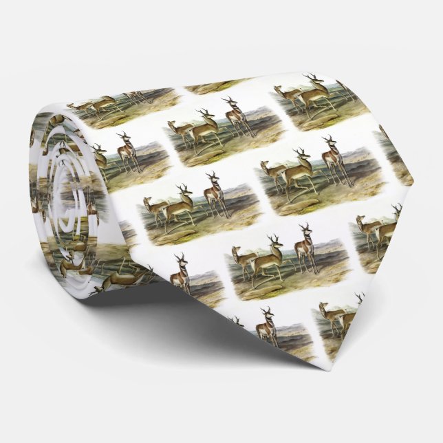 Pronghorn (Prong-horned Antelope) by Audubon Tie (Rolled)