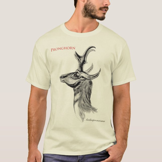 Pronghorn T-Shirt (Front)