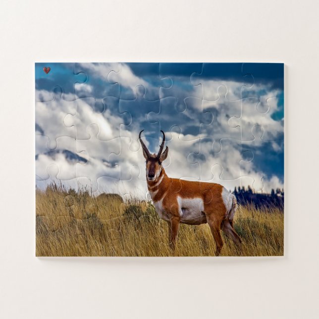 Pronhorn Deer Wyoming Jigsaw Puzzle (Horizontal)