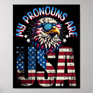 Pronouns are usa funny eagle 4th of july american poster