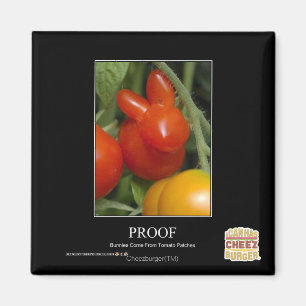 Proof Magnet