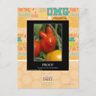 Proof Postcard
