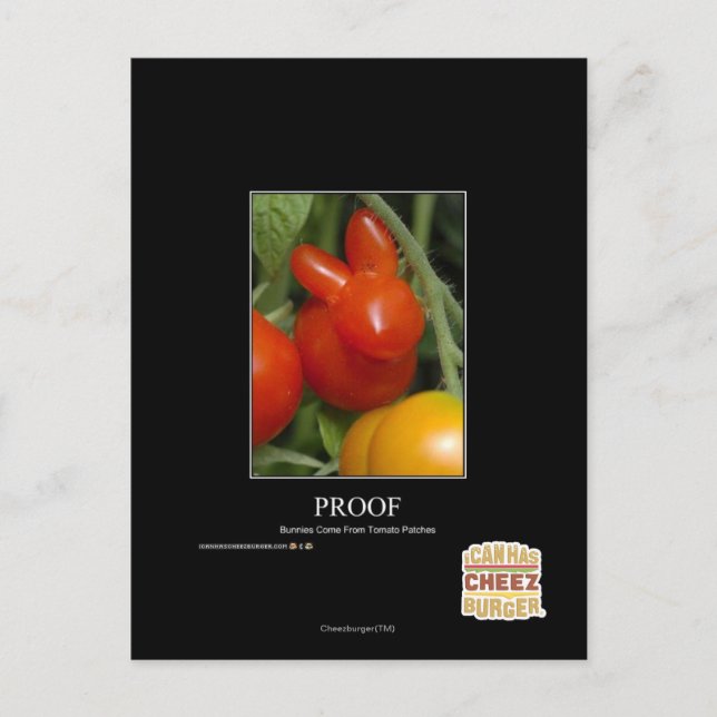 Proof Postcard (Front)