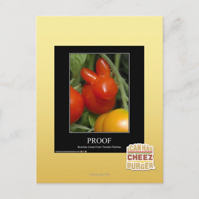 Proof Postcard (Front)