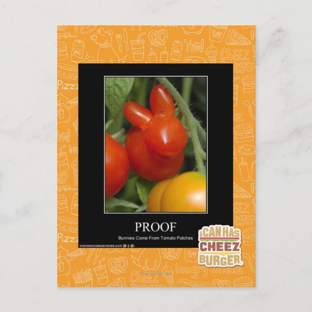 Proof Postcard (Front)