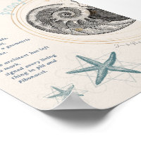 Proof seashell nautilus fibonacci design