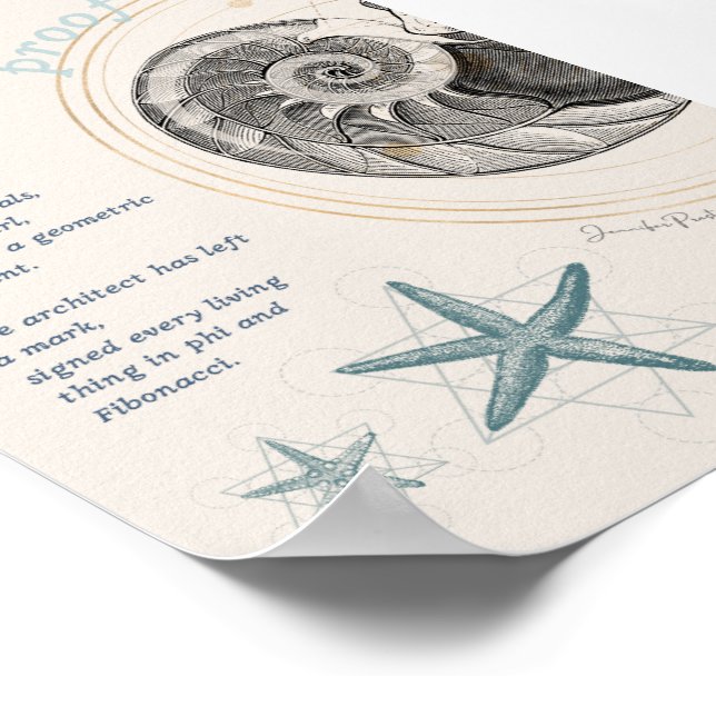 Proof seashell nautilus fibonacci design poster (Corner)