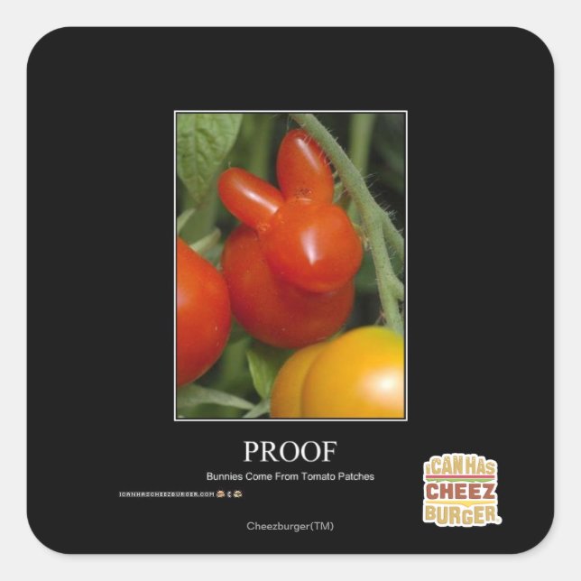 Proof Square Sticker (Front)