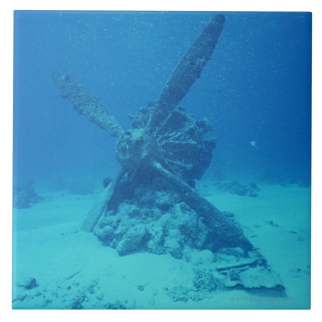 Propeller on the Bottom of Sea Tile (Front)