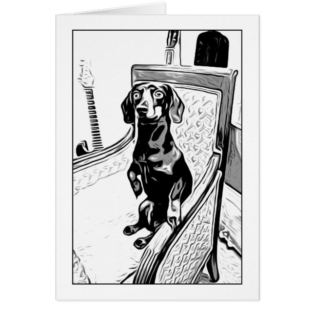 proper dachshund (Front)