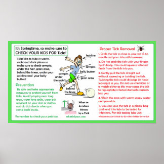 Proper Tick Removal Poster Lyme disease Prevention