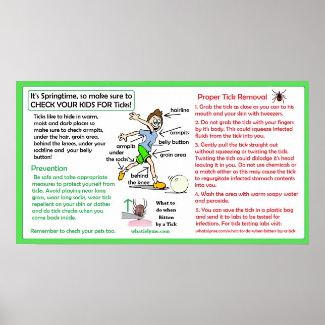 Proper Tick Removal Poster Lyme disease Prevention (Front)