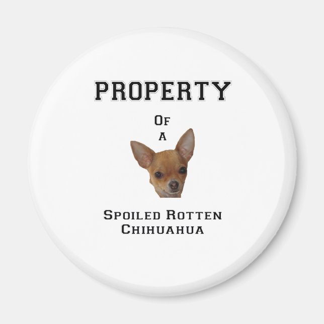 Property of a Spoiled Rotten Chihuahua Magnet (Front)
