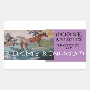 PROPERTY OF RECTANGULAR STICKER