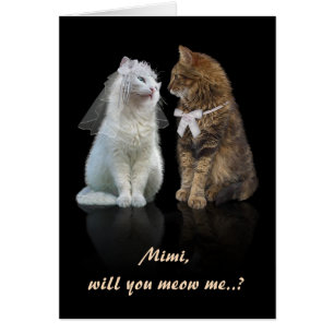 Proposal for Cat Lovers