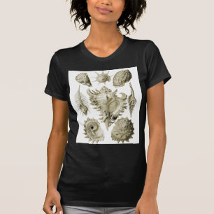 Prosobranchia T-Shirt