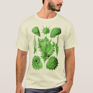 Prosobranchia T-Shirt