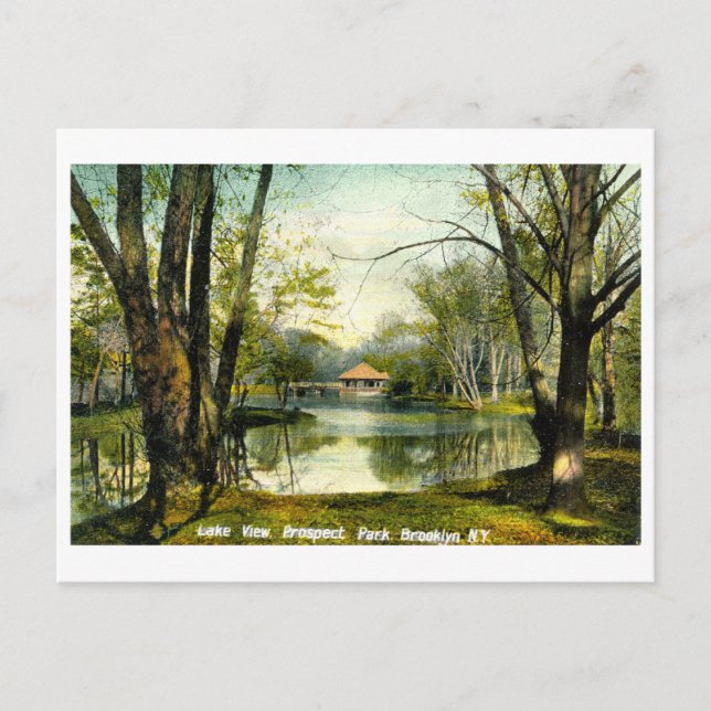 Prospect Park, Brooklyn NY, 1908 Vintage Postcard (Front)