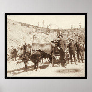 Prospectors with Gold Fever SD 1889 Poster