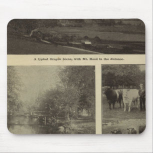 Prosperity, plenty in Oregon Mouse Mat