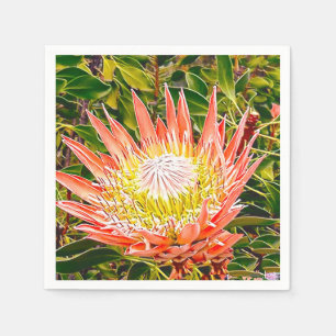 Protea Australian flower photography Napkin