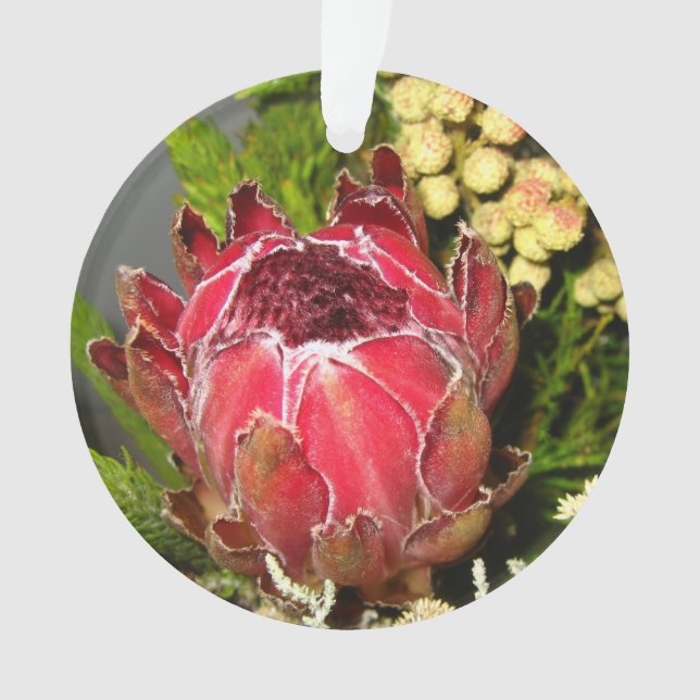 Protea Bouquet Ornament (Front)