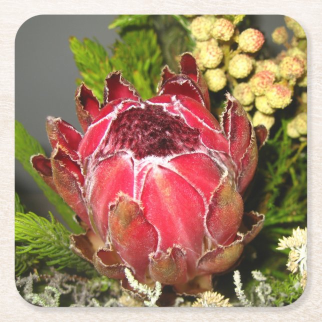 Protea Bouquet Square Paper Coaster (Front)