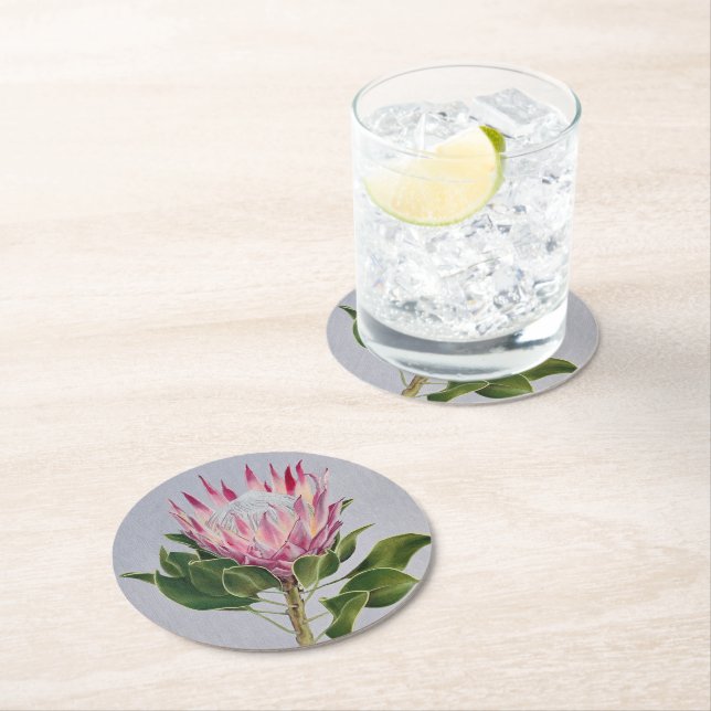 Protea Coaster (Insitu)