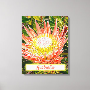 Protea flower Australian travel print