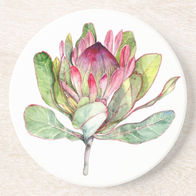 Protea Flower Coaster (Front)