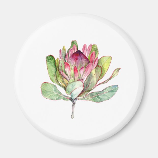 Protea Flower Magnet (Front)