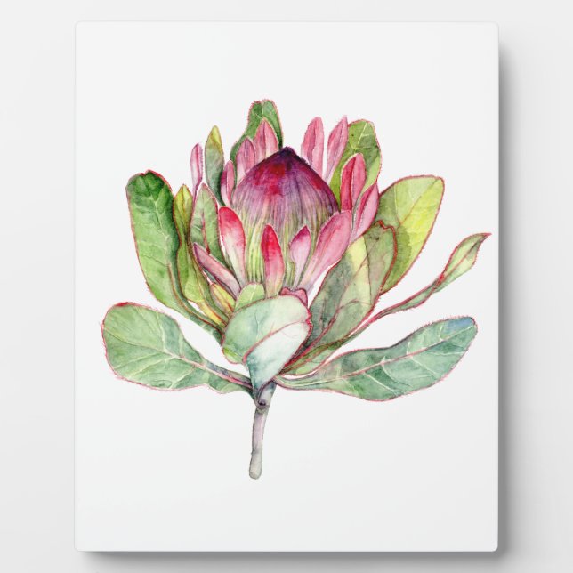 Protea Flower Plaque (Front)