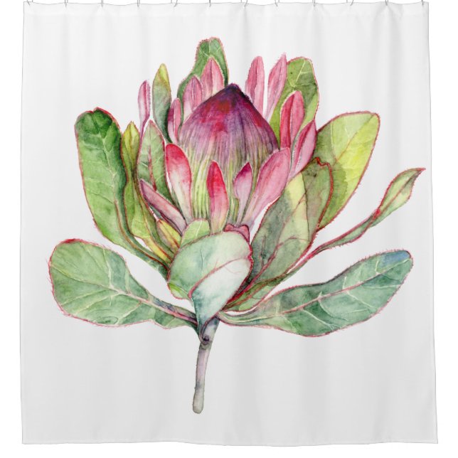 Protea Flower Shower Curtain (Front)
