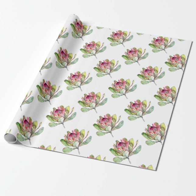 Protea Flower Wrapping Paper (Unrolled)