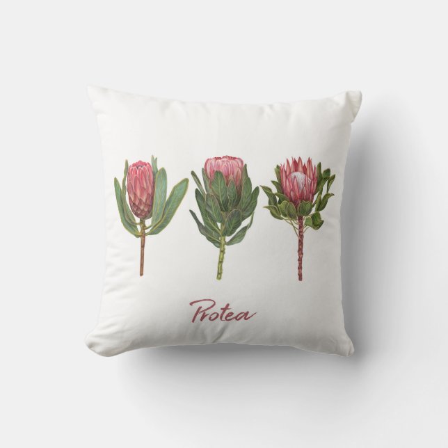 Protea Flowers Cushion (Front)