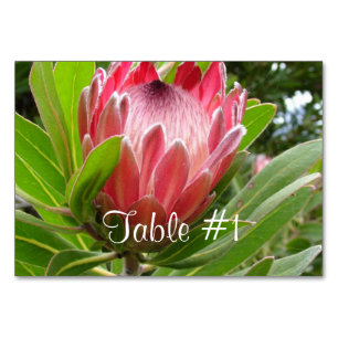 Protea Flowers Table Number