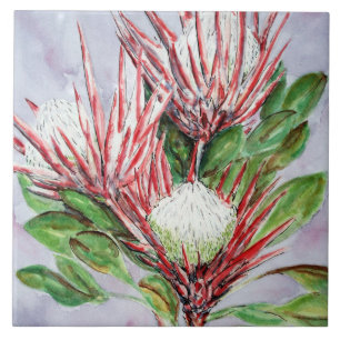 Protea Flowers Tile