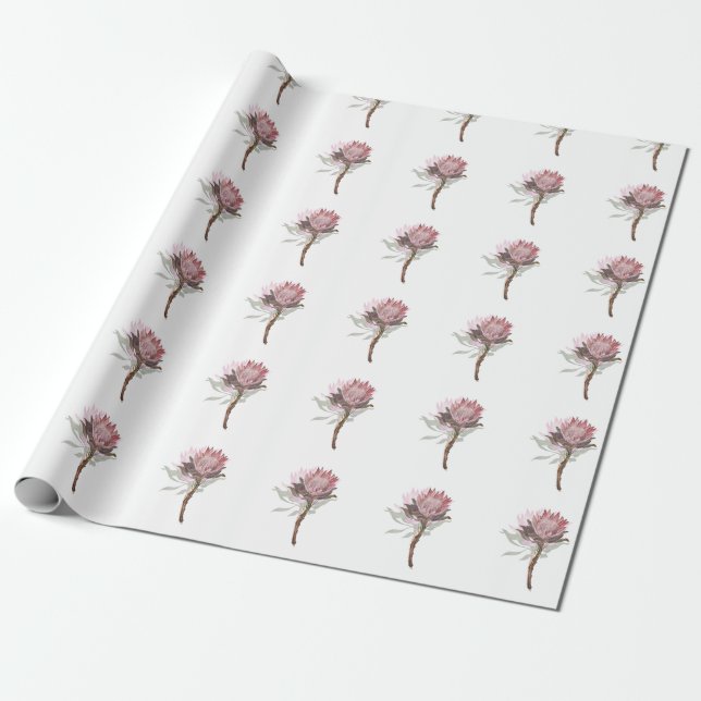 protea flowers wrapping paper (Unrolled)