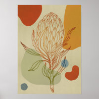 Protea Line Abstract Shapes Trendy Botanical
