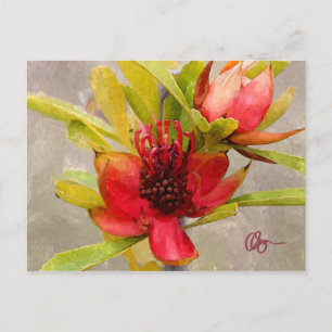 Protea Love Postcard