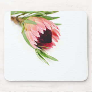 Protea Mouse Mat