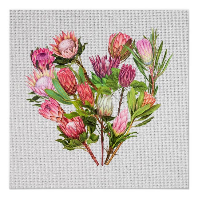 Protea Poster (Front)