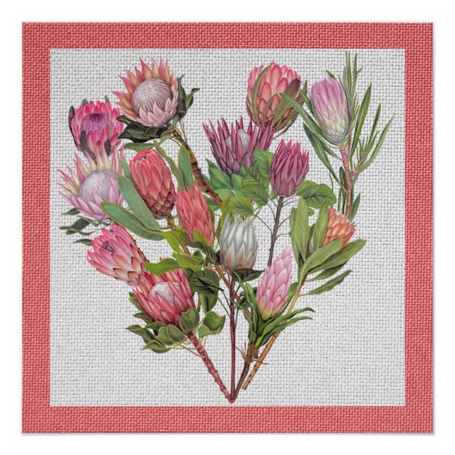 Protea Poster (Front)
