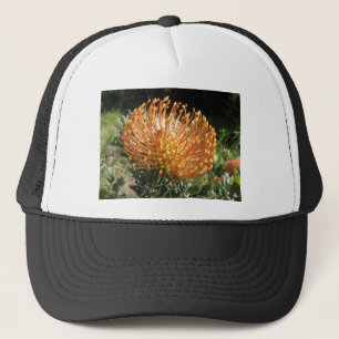 protéa trucker hat