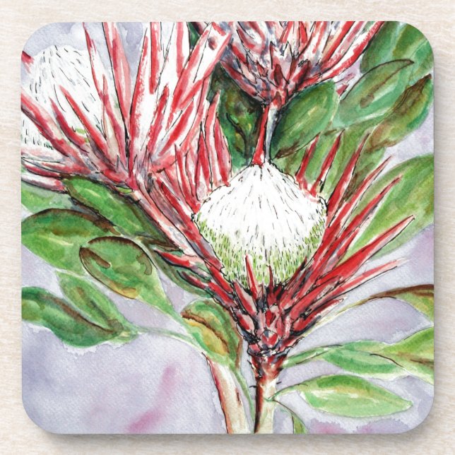 Proteas Coaster (Front)